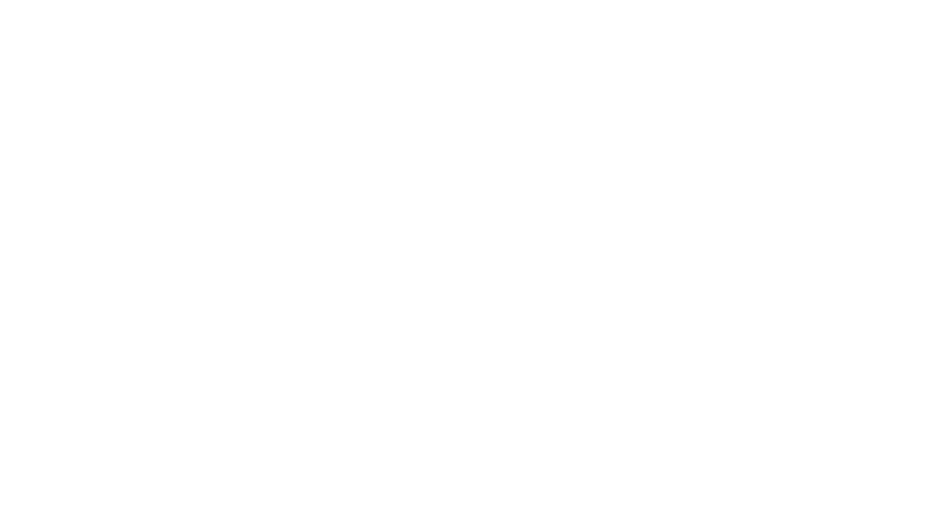 Blitz Motorworks logo
